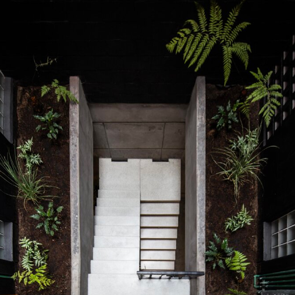 EstudioTacubaya-05-b